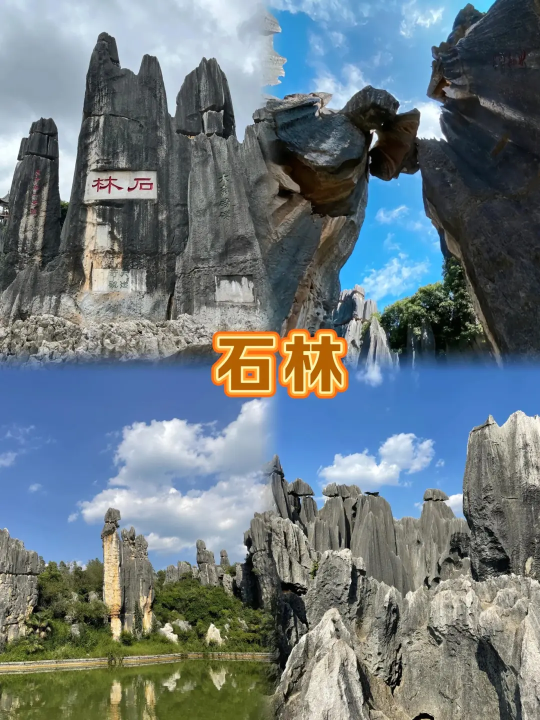 d7998bc829f20de1921542cacb61e924-sz_747357