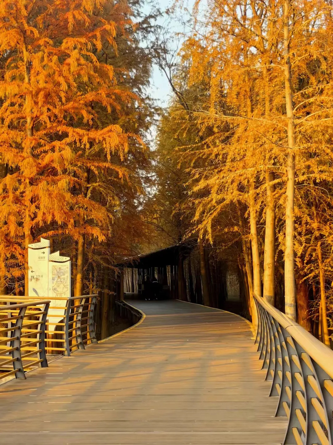 d7a3461f3fd223a7881c312b1540723b-sz_517473