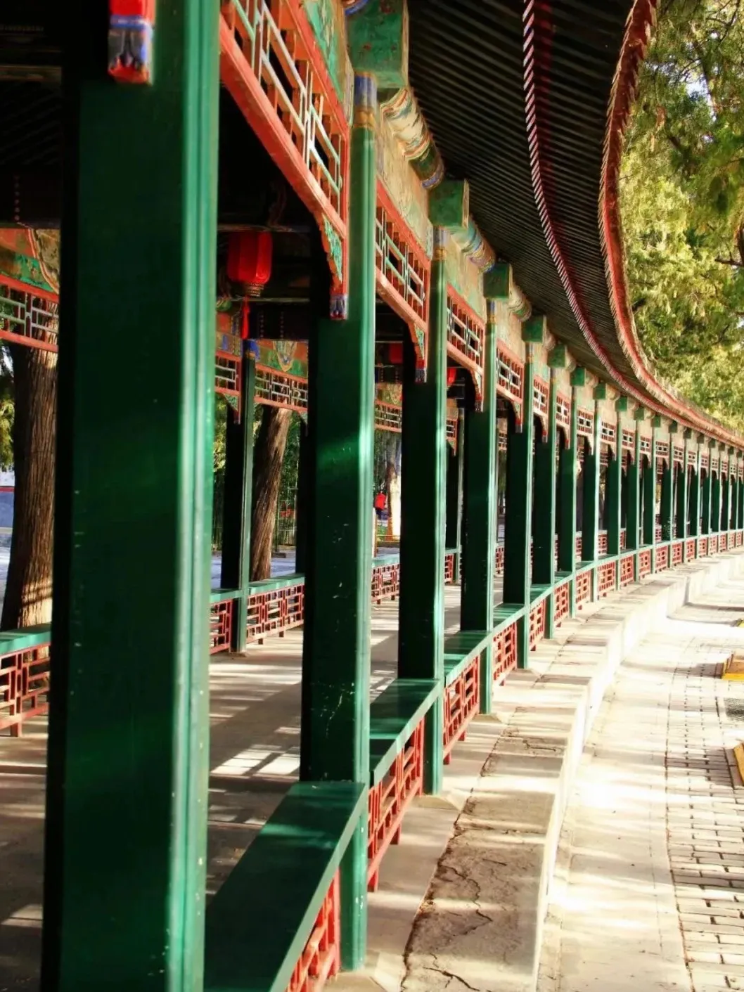 d7abacc3442d2c55d329db8b64bcdbc2-sz_366533 d7abacc3442d2c55d329db8b64bcdbc2-sz_366533