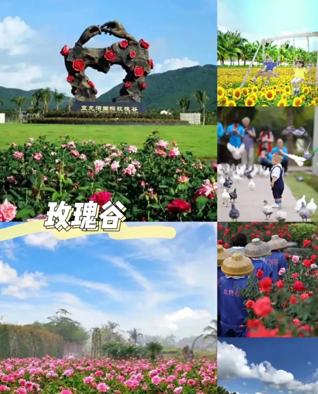 d7c47abf768c61a0c13de76ff0a449b8-sz_2994627