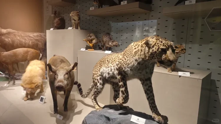 d7f16693220ea1a2a74beaaad1fa4f26-sz_2721317 d7f16693220ea1a2a74beaaad1fa4f26-sz_2721317