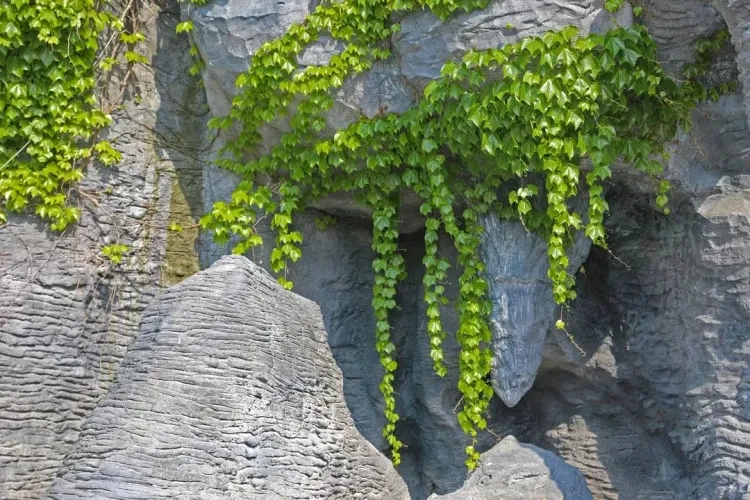 d8033853c0cfc173dc8c4b693ed4bb48-sz_237153 d8033853c0cfc173dc8c4b693ed4bb48-sz_237153