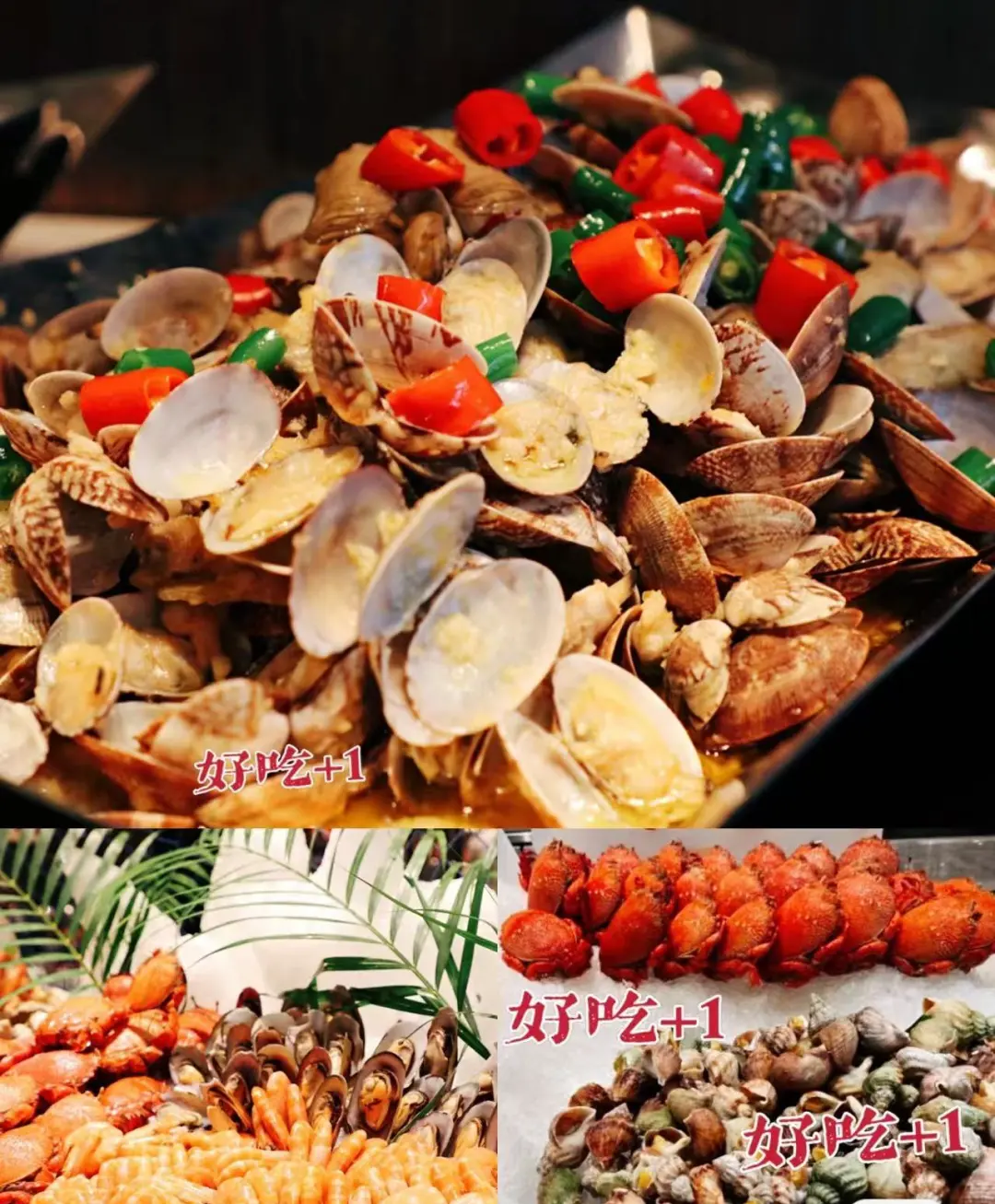 d87262ac50c747d359225233b84e4707-sz_315679