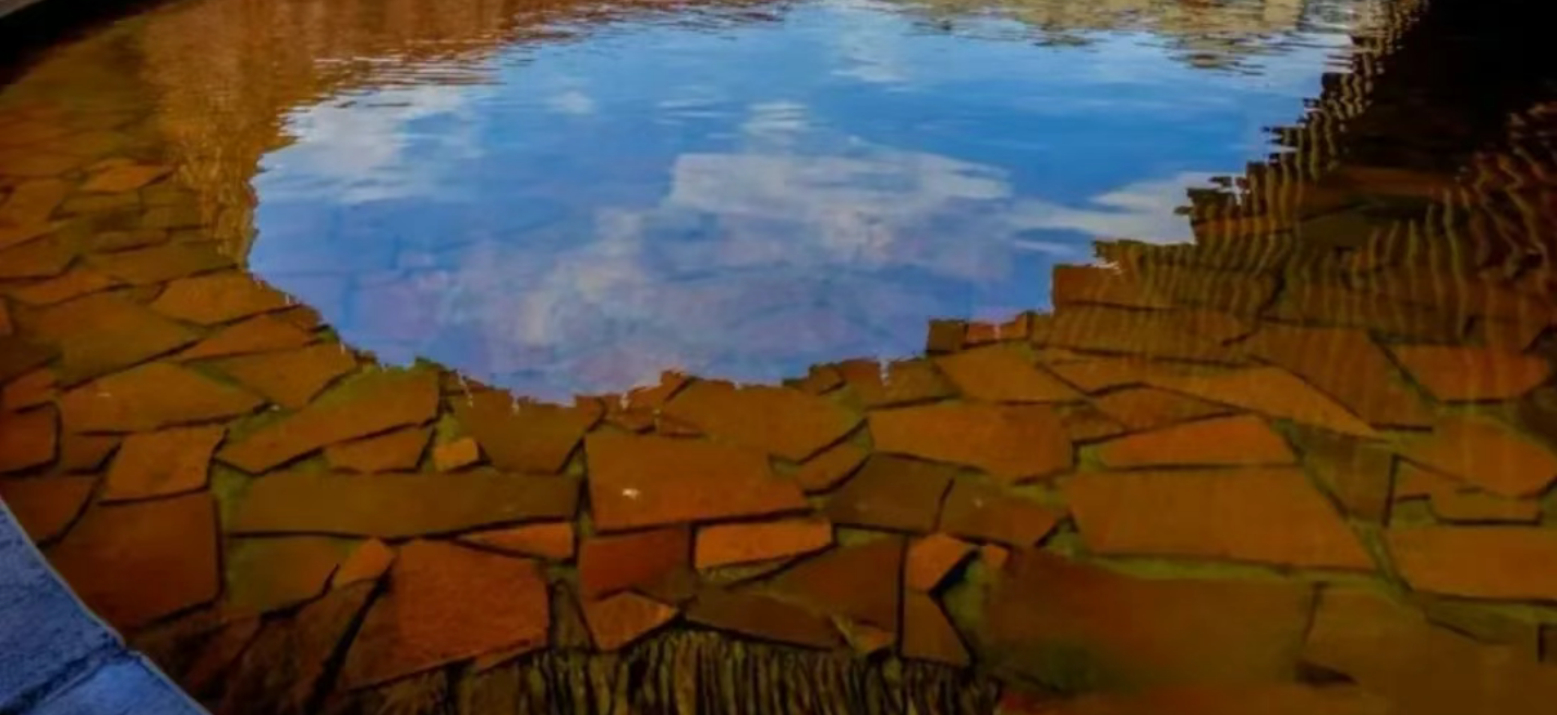 d8915c641f30e8679663ef1170df868b