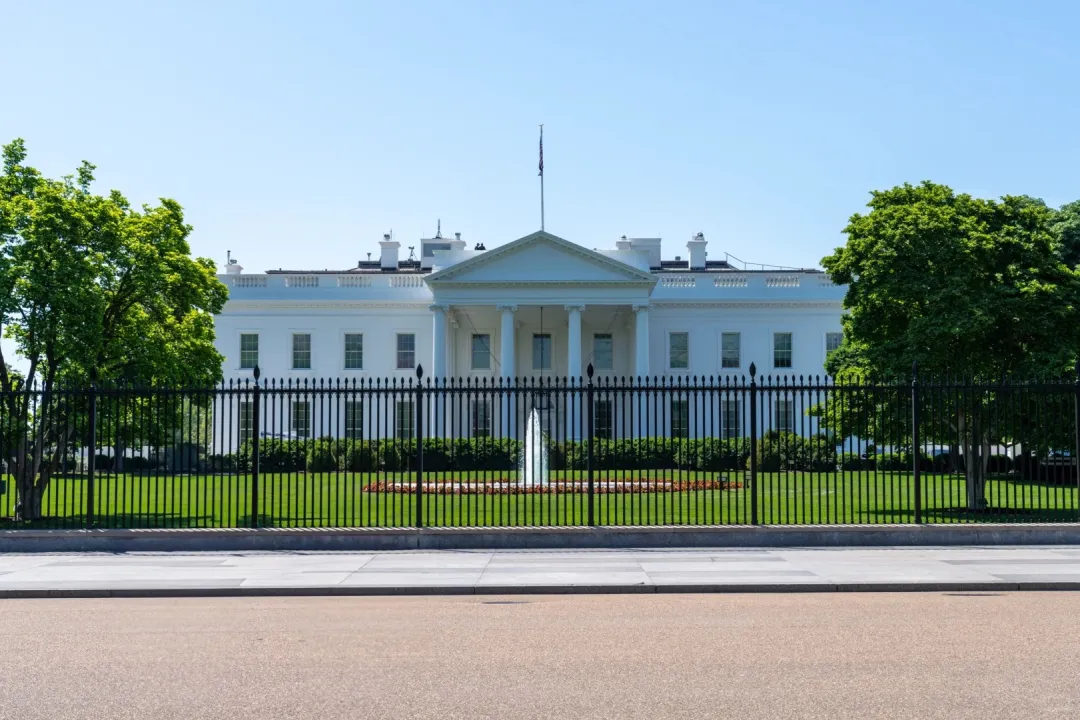 d8a152b553641842db3eae6e5339be4d-sz_489476