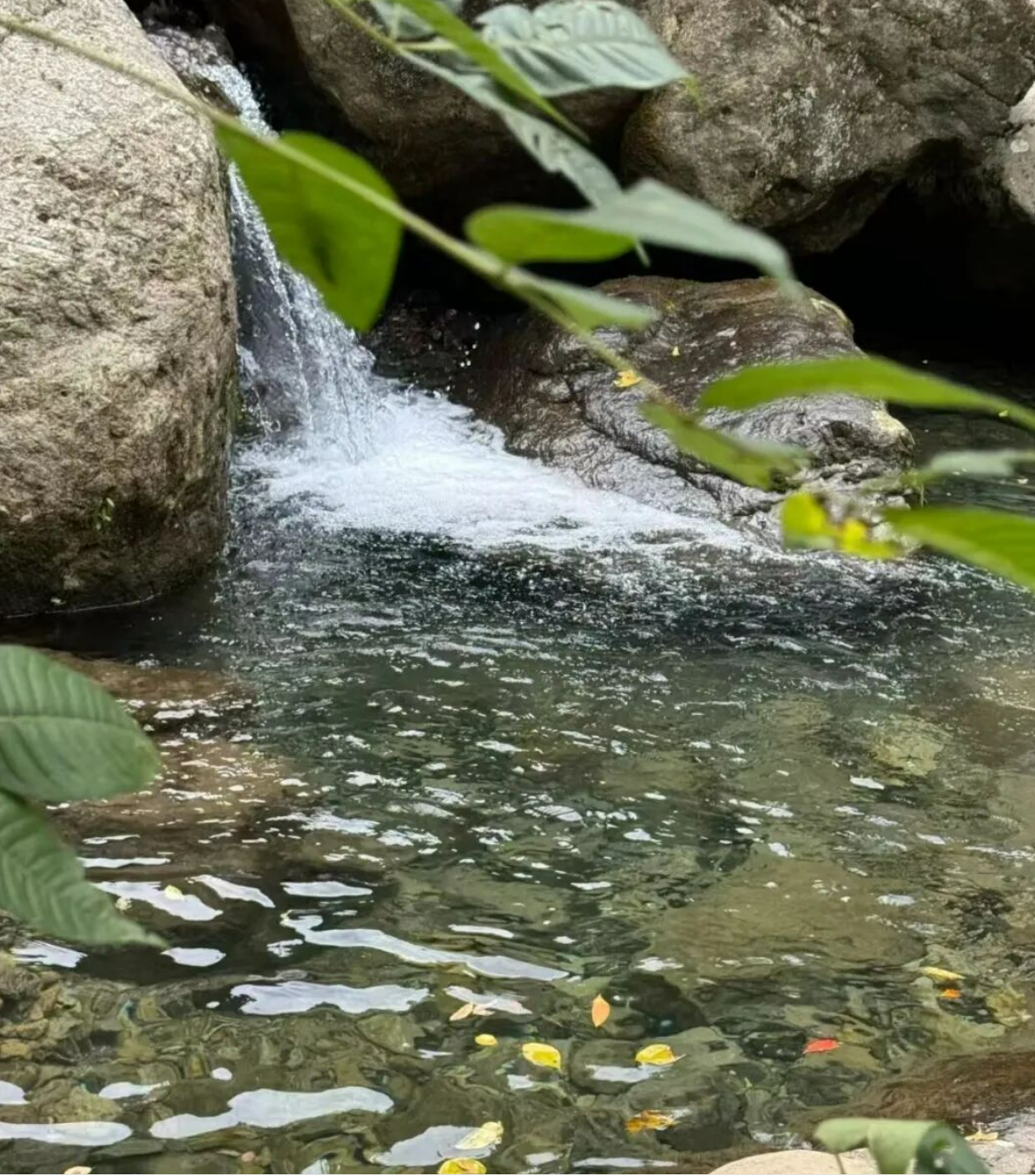 d8bc43741418d61d294cdc476aba720e d8bc43741418d61d294cdc476aba720e