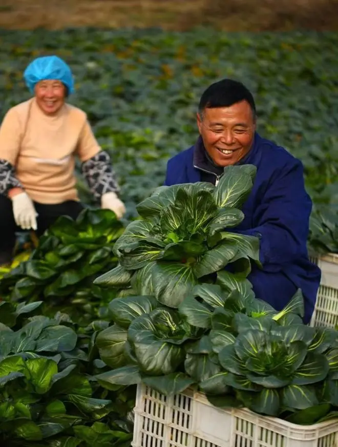 d8f41e5916294a7e6fe6fc44517464e4-sz_94571