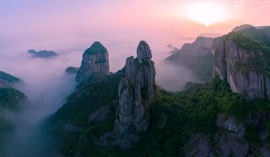 d900f82a44593638ae3cb3c7ddab4d22-sz_50361-2