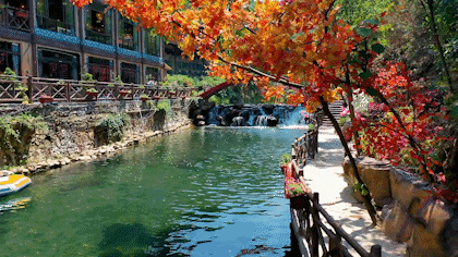 d902a84d217bd2bc3a8af22fd1117723-sz_4841373