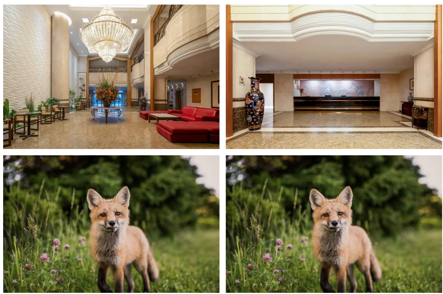 d911b1f7a31174db81e01969fe42cd19