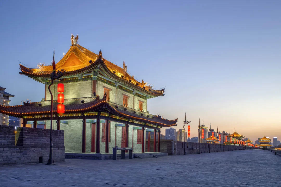 d930065d9530ce5d02b0d992af26ddb9-sz_504196