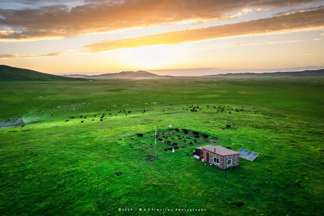 d9449b6601449dfbcc01075e22656db0-sz_337610 d9449b6601449dfbcc01075e22656db0-sz_337610