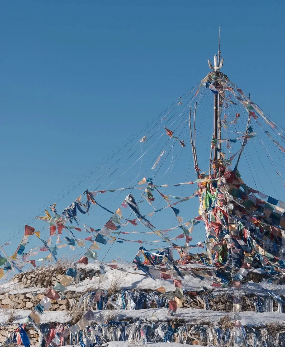 d9574409ed6416fa4c205d3ecb796c31-sz_502096