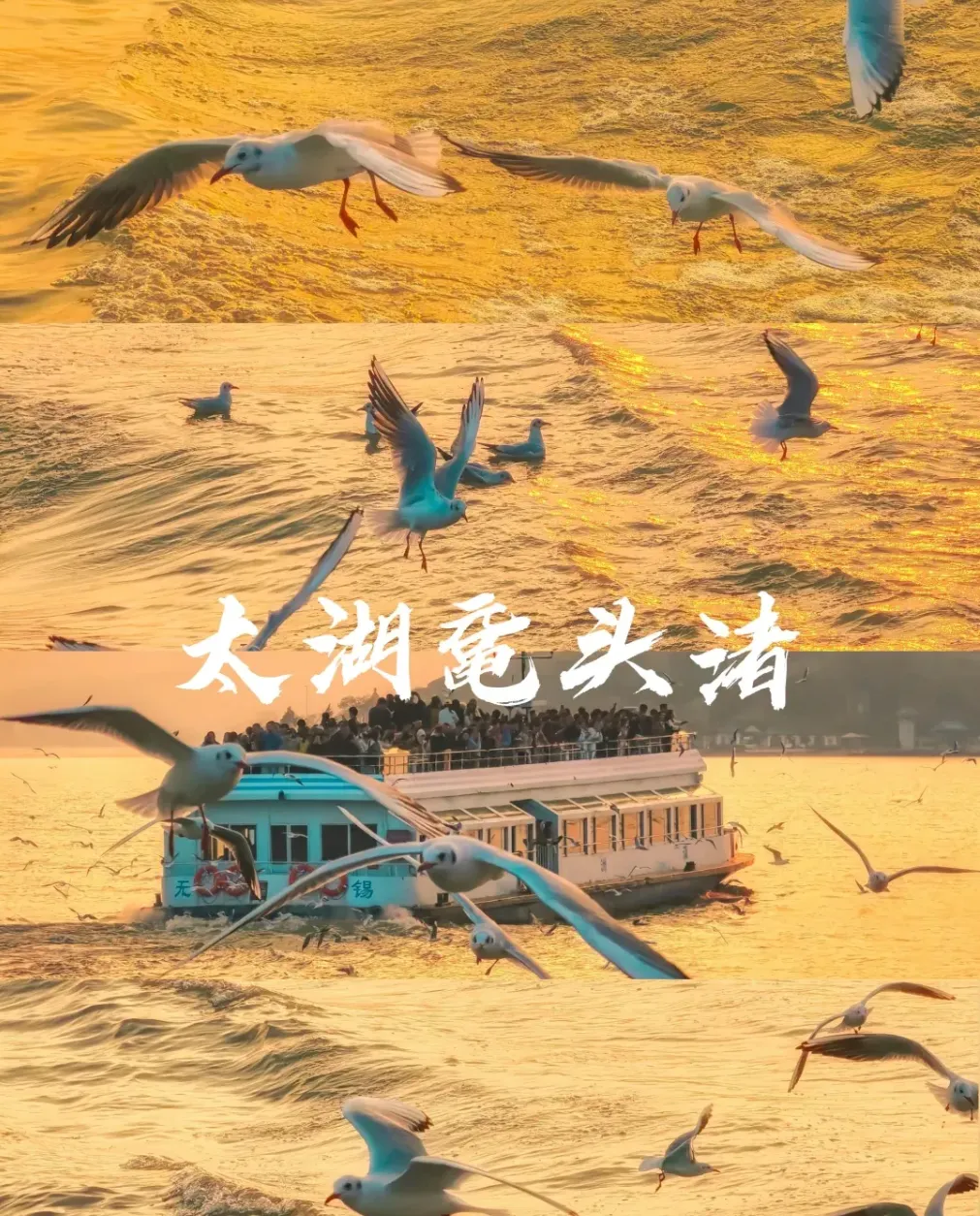 d9600bc42dc4f61a63e16068d3f7e6dd-sz_2037203