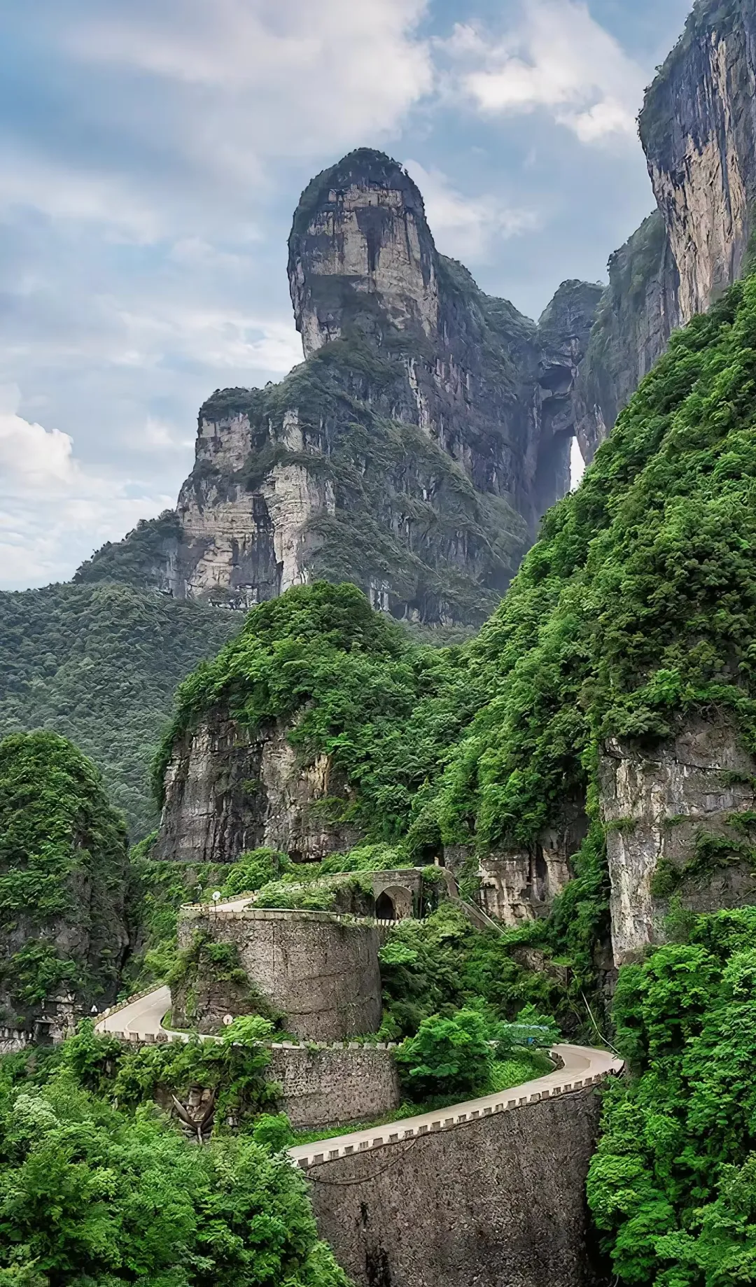 d9ae967acce449c1f27db8555b06606d-sz_1775032