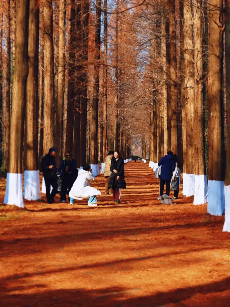 d9af16066f8a22e795bba1b3f9ea9e27-sz_689794