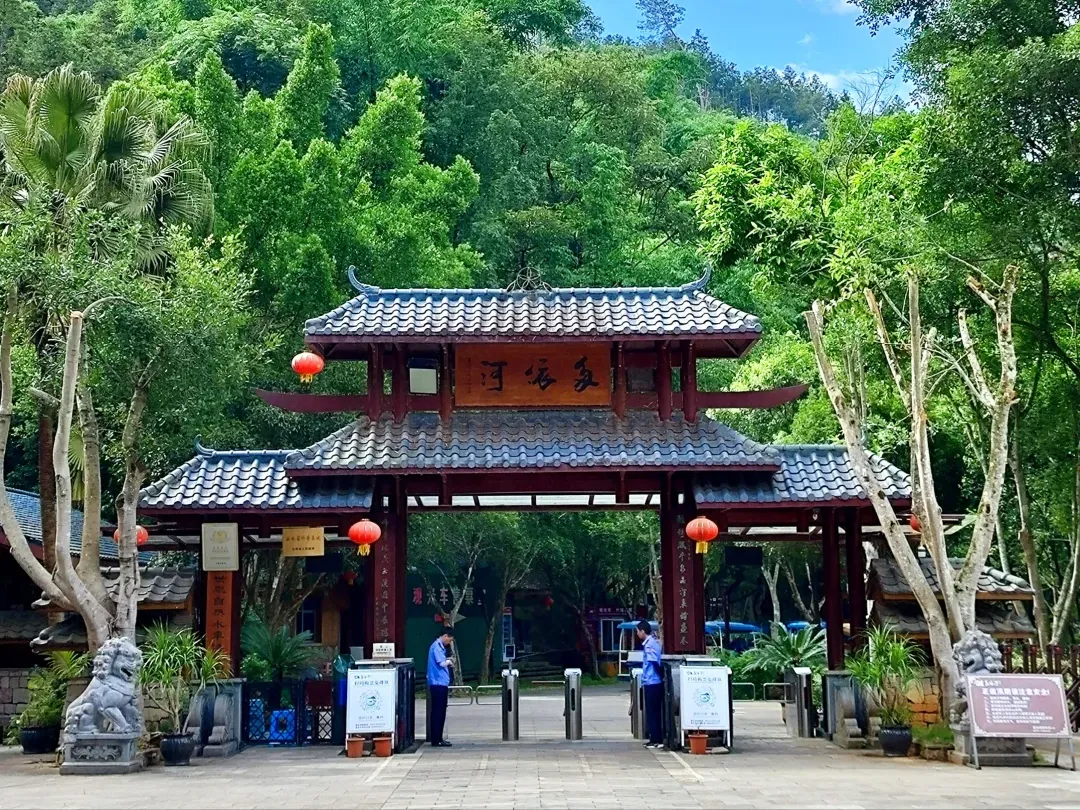 d9de40642a47bdcab6ceae132cfd6456-sz_3268923