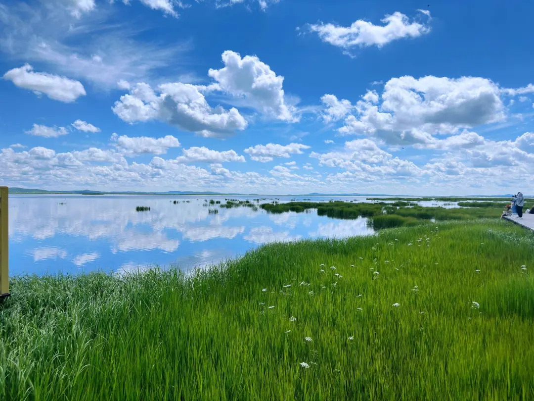 d9e5d33691ac31518c0c880c4430b8ae-sz_759351 d9e5d33691ac31518c0c880c4430b8ae-sz_759351