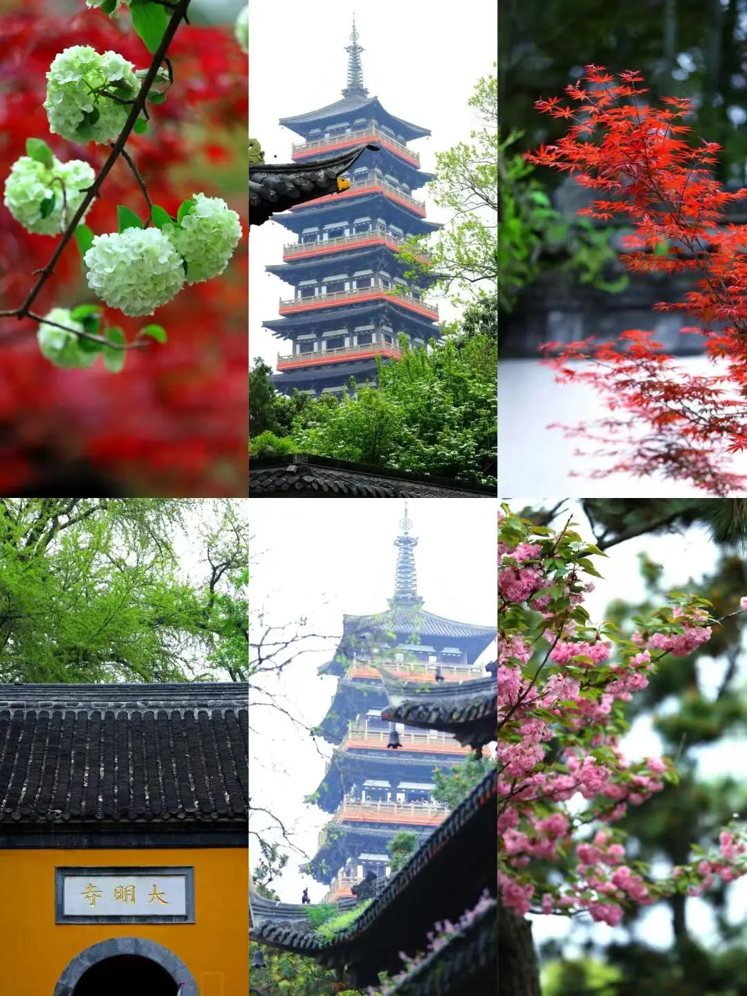 da0c403033047f9bc6f9b64e2f8be243-sz_266546