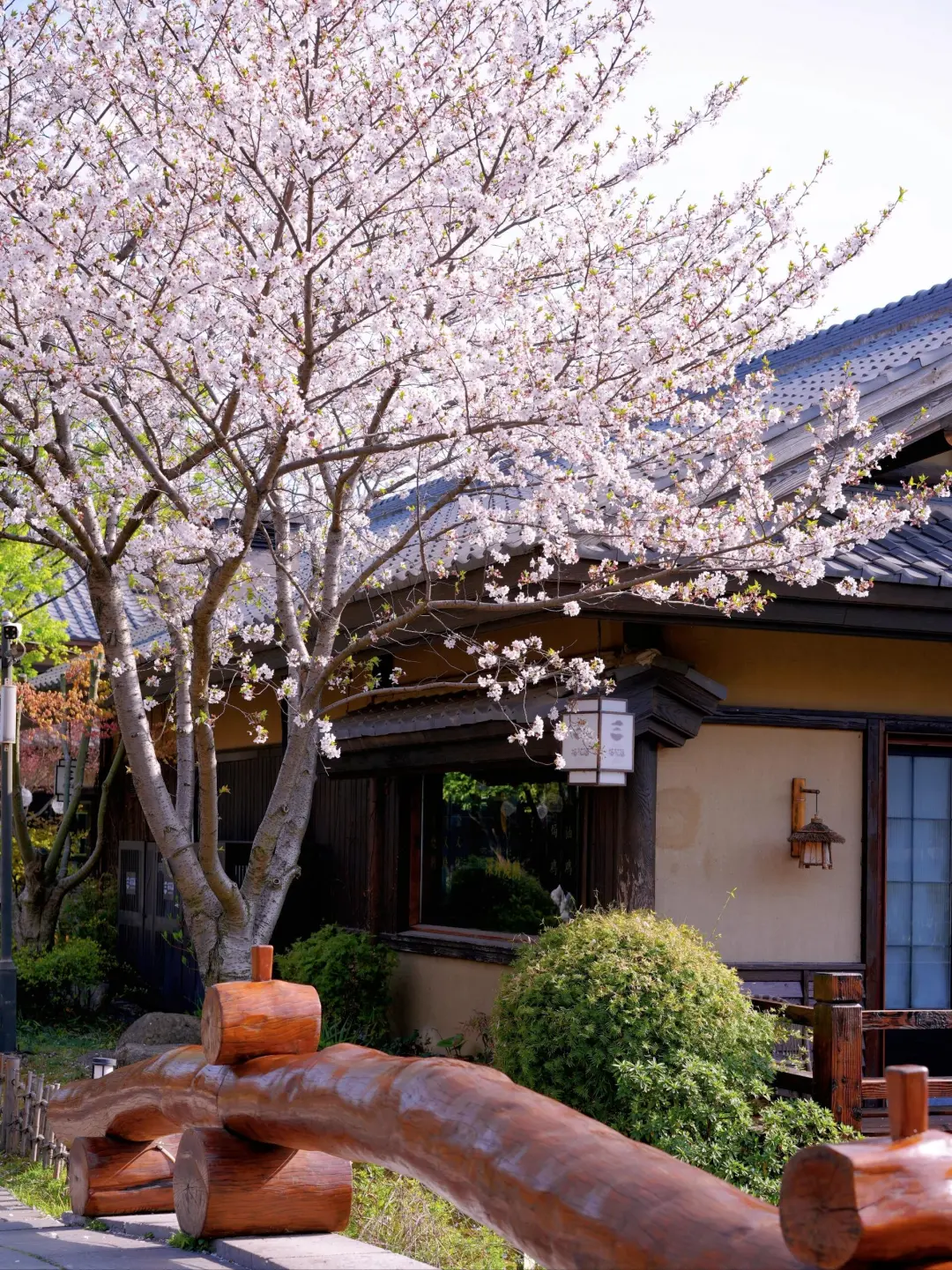 da169d374fa64b480a6ed2571e613247-sz_1156533