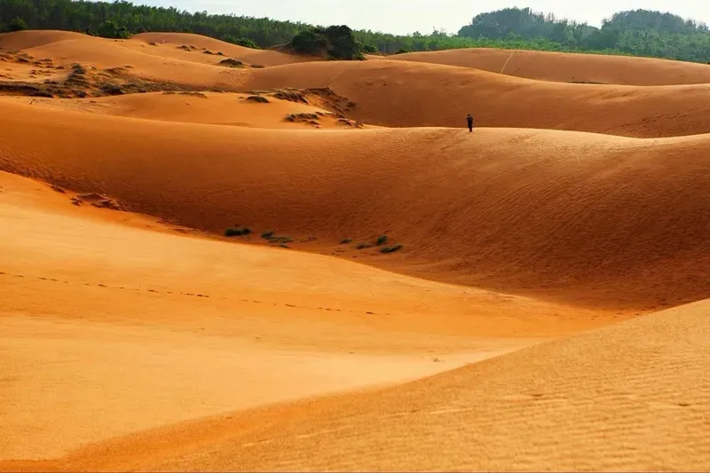 da1d7ca51e47c6bb522afd25f0b5d949-sz_110949