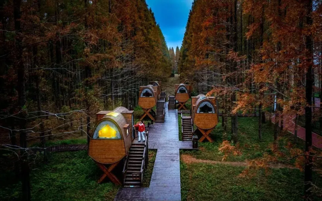 dab0521311e1ebba4c8c549f32163dbf-sz_323609 dab0521311e1ebba4c8c549f32163dbf-sz_323609