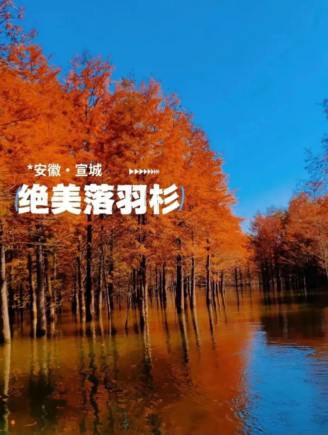 dae23bf1c193c36c368aa448847b8d2b-sz_222065