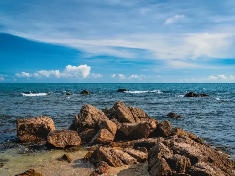 dafd660ad3e597a4032f96eb9c6187fd-sz_1939651