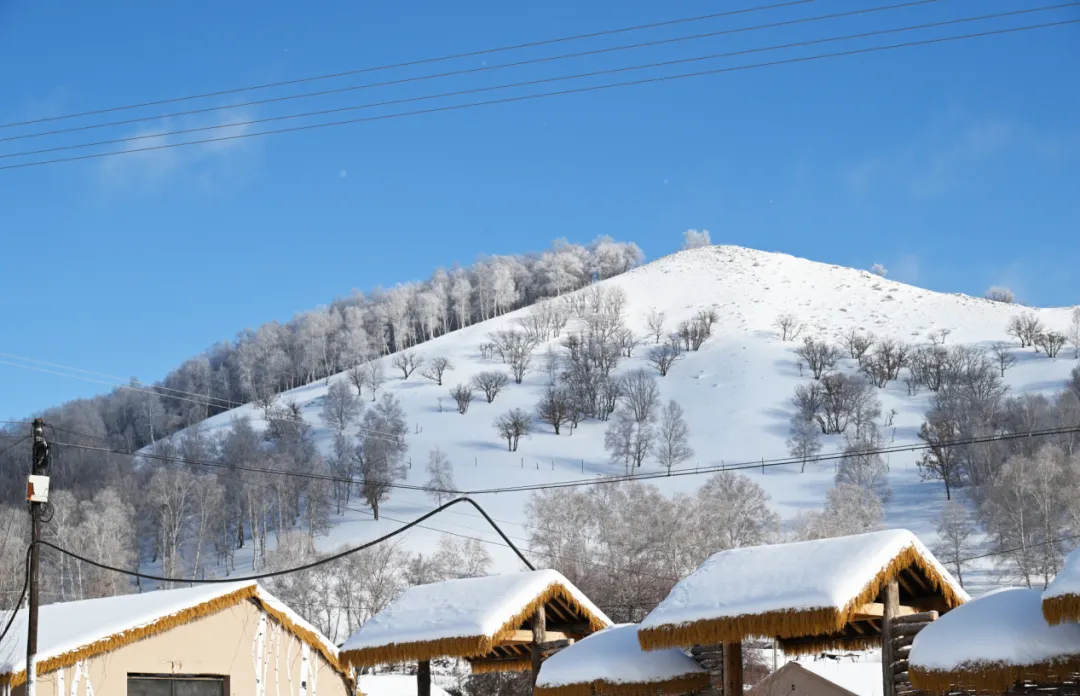 db0b78d581a95e93f2d08f859db8dc98-sz_1497113 db0b78d581a95e93f2d08f859db8dc98-sz_1497113