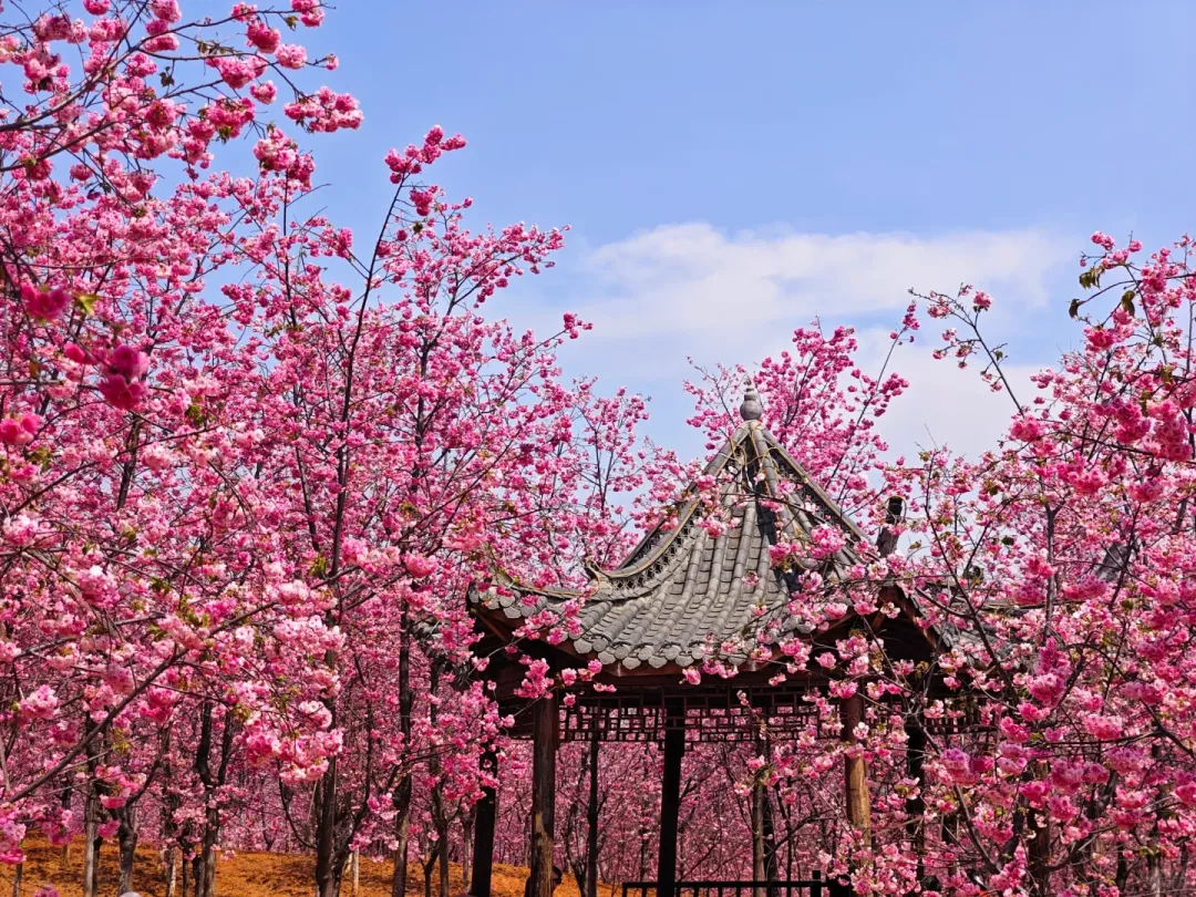 db5f9bc5748933a20fece9c13a7a6c62-sz_3124851