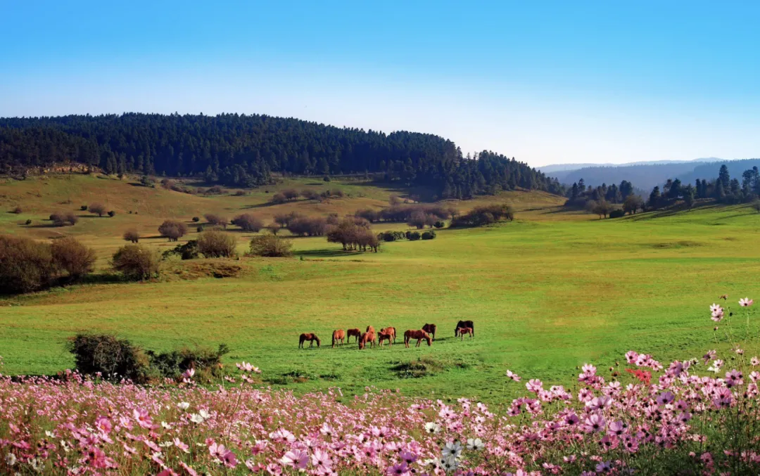 db7ce6c63370e05197986ee12df00c20-sz_2138721