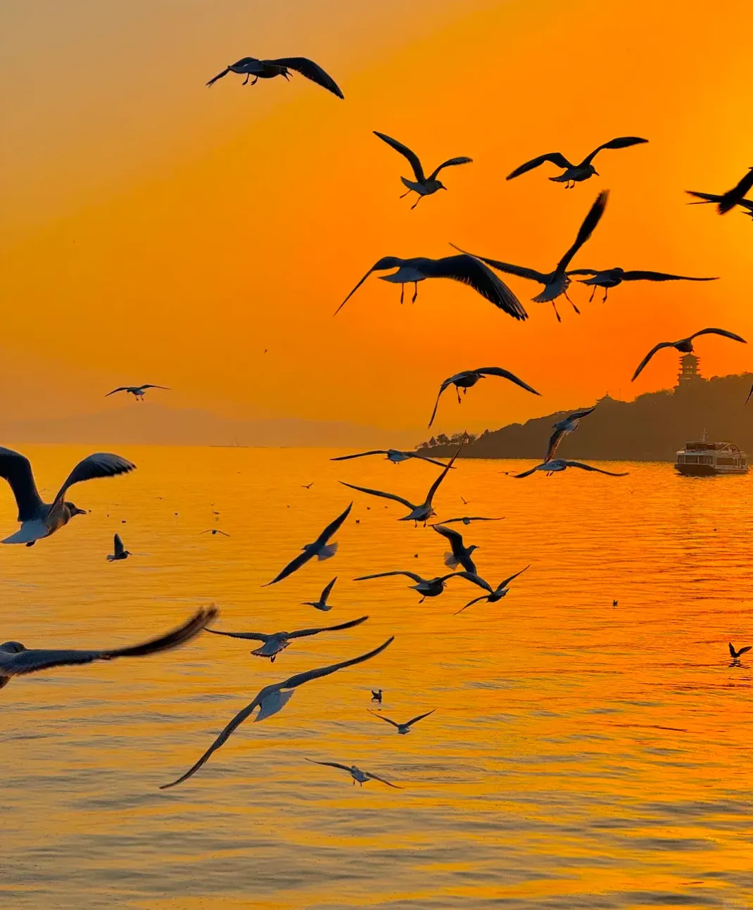 db9b64421ba5d1a5c1a12d8e0714c34d-sz_1713206-2