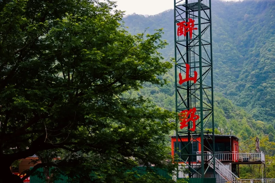 dbb9bb27844115559ba69caf8aa0c4ba-sz_565803