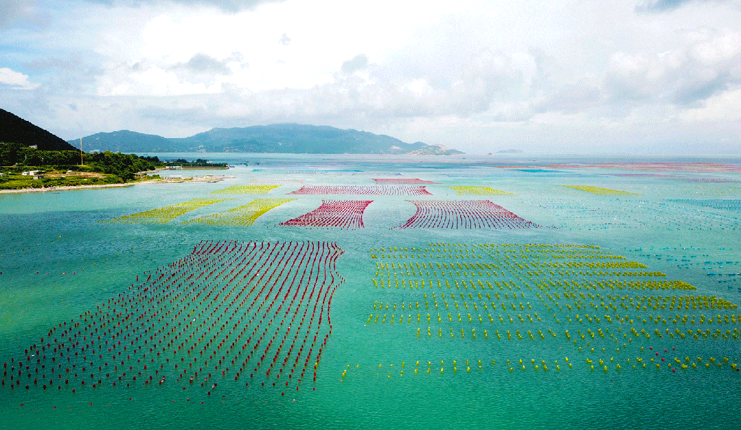 dbc8c0d0a3ca792638866a814133572d-sz_1557648-1