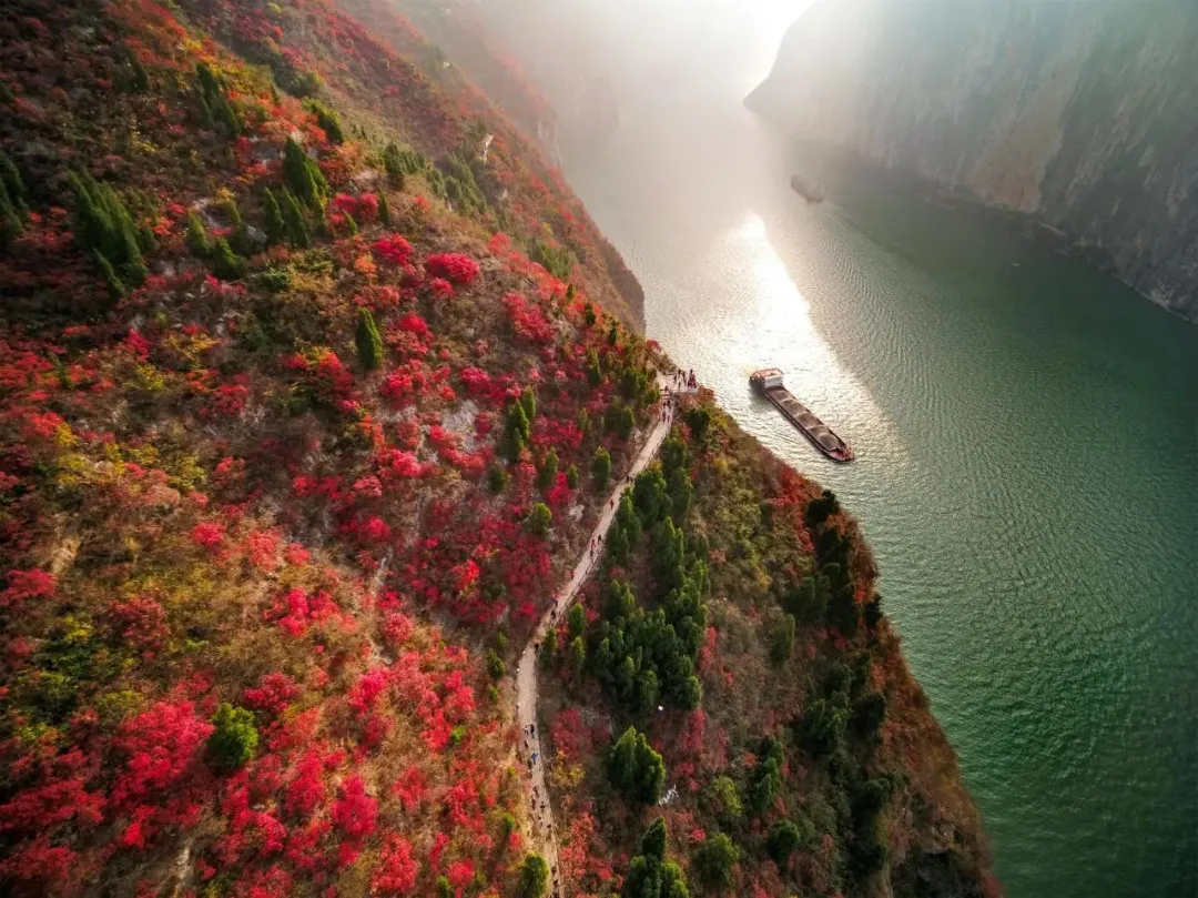 dbe235fb641e3b66a3ff3a1b9ad28aea-sz_261294 dbe235fb641e3b66a3ff3a1b9ad28aea-sz_261294