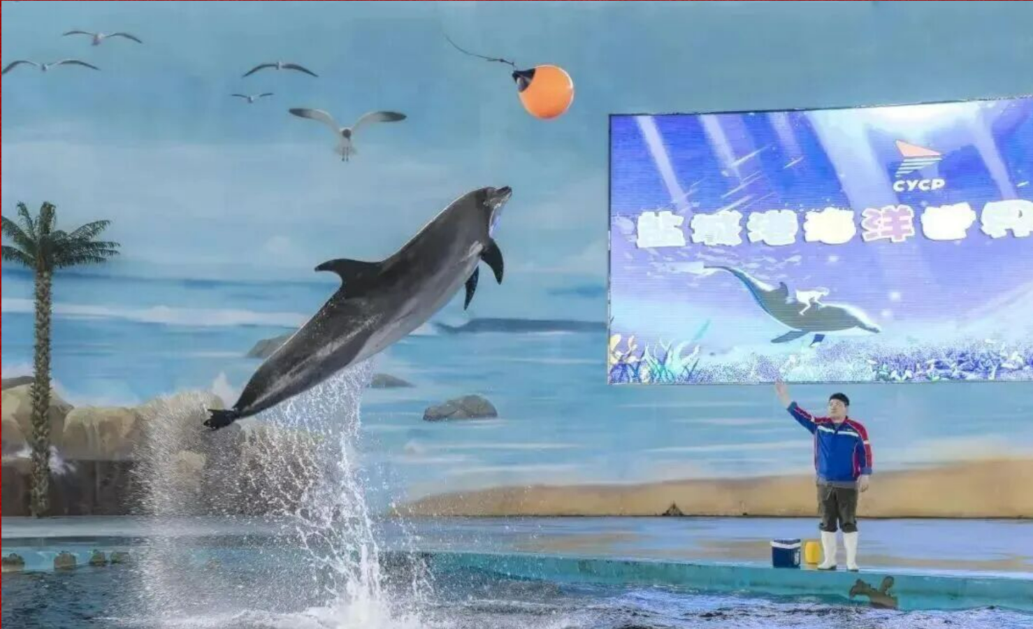 dc01310d6aed770175008fe91f03fe01