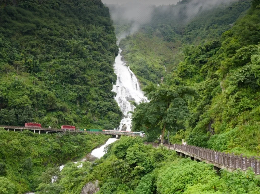 dc2b6143e69fbc03863e3f373d19ae00-sz_468627