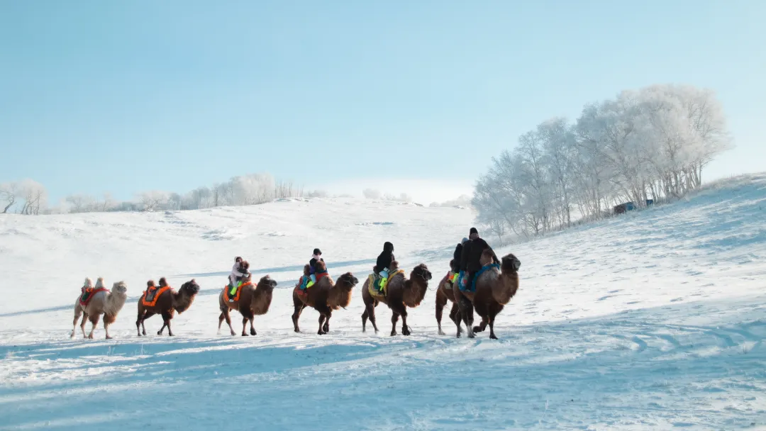 dc32ba7166eddab9998700edd48b32c3-sz_5674656 dc32ba7166eddab9998700edd48b32c3-sz_5674656