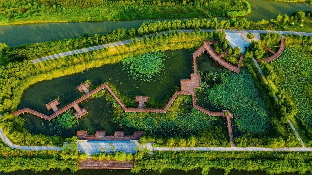 dc3501a6e4417a5eaeea144d26a7be88-sz_433665 dc3501a6e4417a5eaeea144d26a7be88-sz_433665