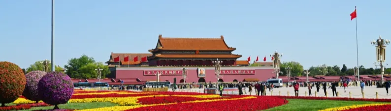 dc3b4758430c3bdb135a61dd9c7d7dc5-sz_254751 dc3b4758430c3bdb135a61dd9c7d7dc5-sz_254751