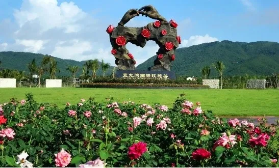 dc3d2dac962388f49adbbb7f47142595-sz_147250-1 dc3d2dac962388f49adbbb7f47142595-sz_147250-1