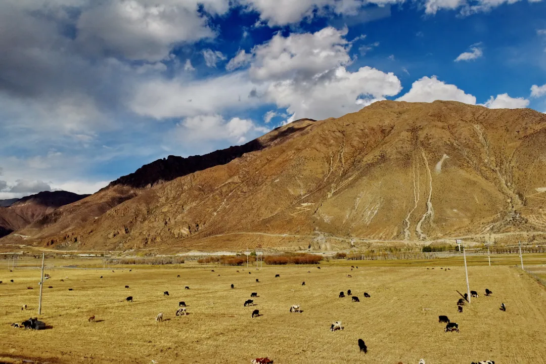 dcacffed995e58ece3de4ae2db095812-sz_1167954