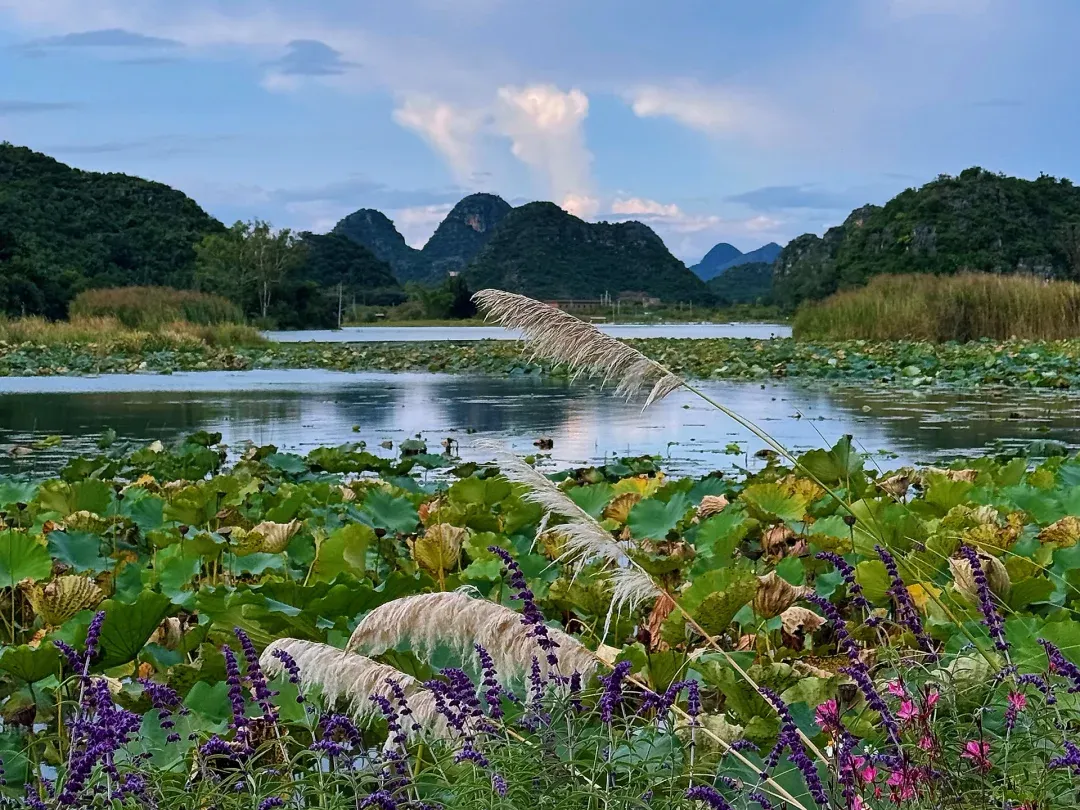 dcb4fe087fb081ce249225cd09c75a5f-sz_2666895