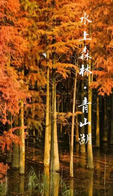 dcbbbbf4cb2e3cf446e5a61324b6e382-sz_681862