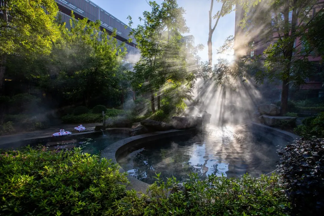 dcda3ad1b525752ed57ad60f40c66dfc-sz_191575