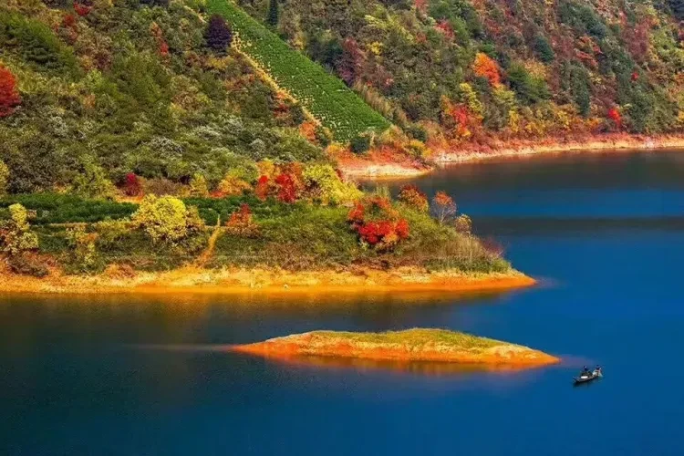 dd428543ebc607e39797bad707dc2b49-sz_149258