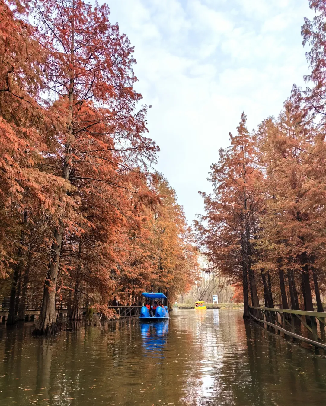 dd7d8772cdc7f4d86f0dce139de24bbe-sz_2215023