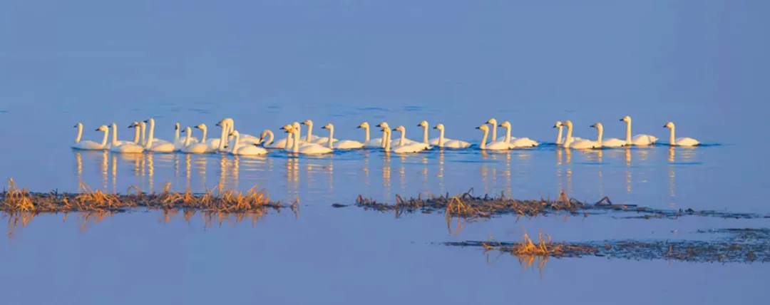 ddae214b36c0315a134435665f7d7d04-sz_276894