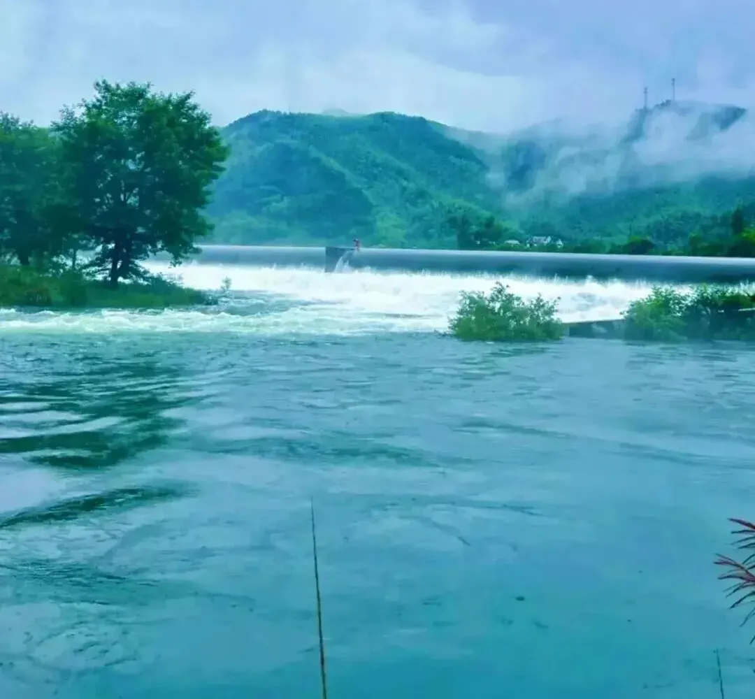 ddb23c6797b6590178aecbe62c4eccb3-sz_112357-3