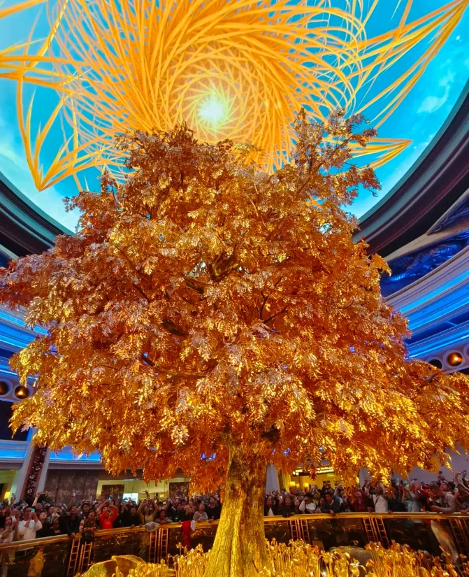 ddbd3165c4f229d73f1de5aa63f26eba-sz_1511604 ddbd3165c4f229d73f1de5aa63f26eba-sz_1511604